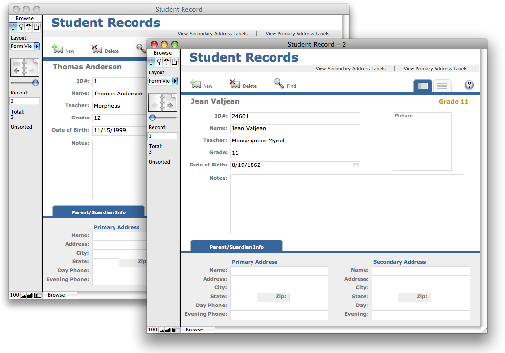 Two overlapping database windows showing the same layout. Each window shows a different record on that layout.