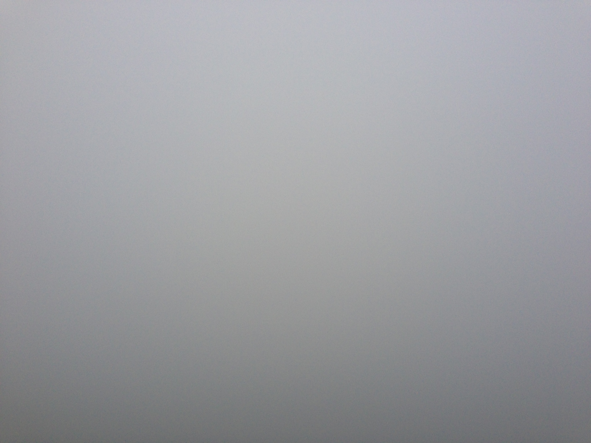 The beautiful Cliffs of Moher in the fog.