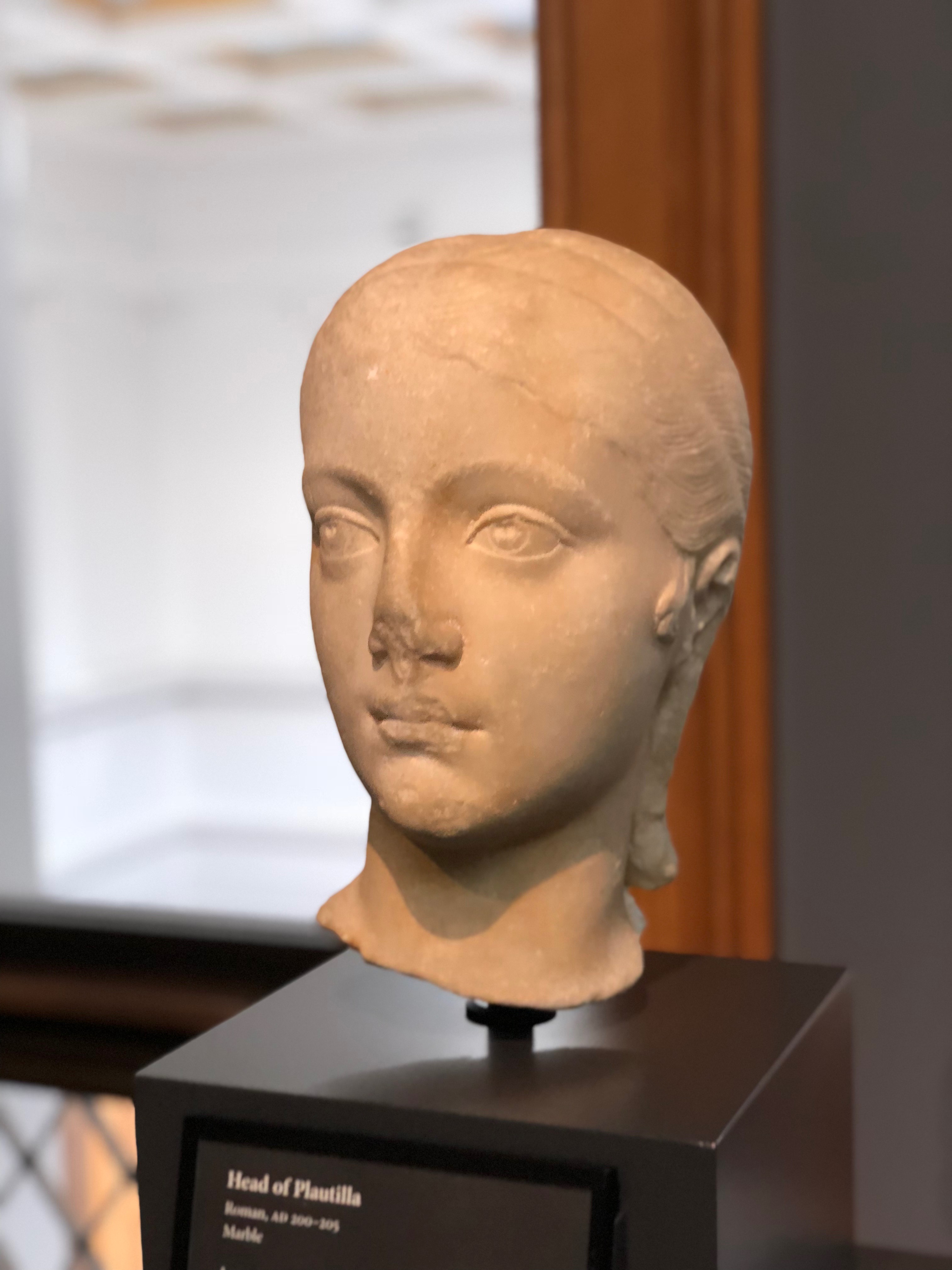 Head of Fulvia Plautilla, exiled and murdered wife of Emperor Caracalla. Also, she resembles my friend Summer.