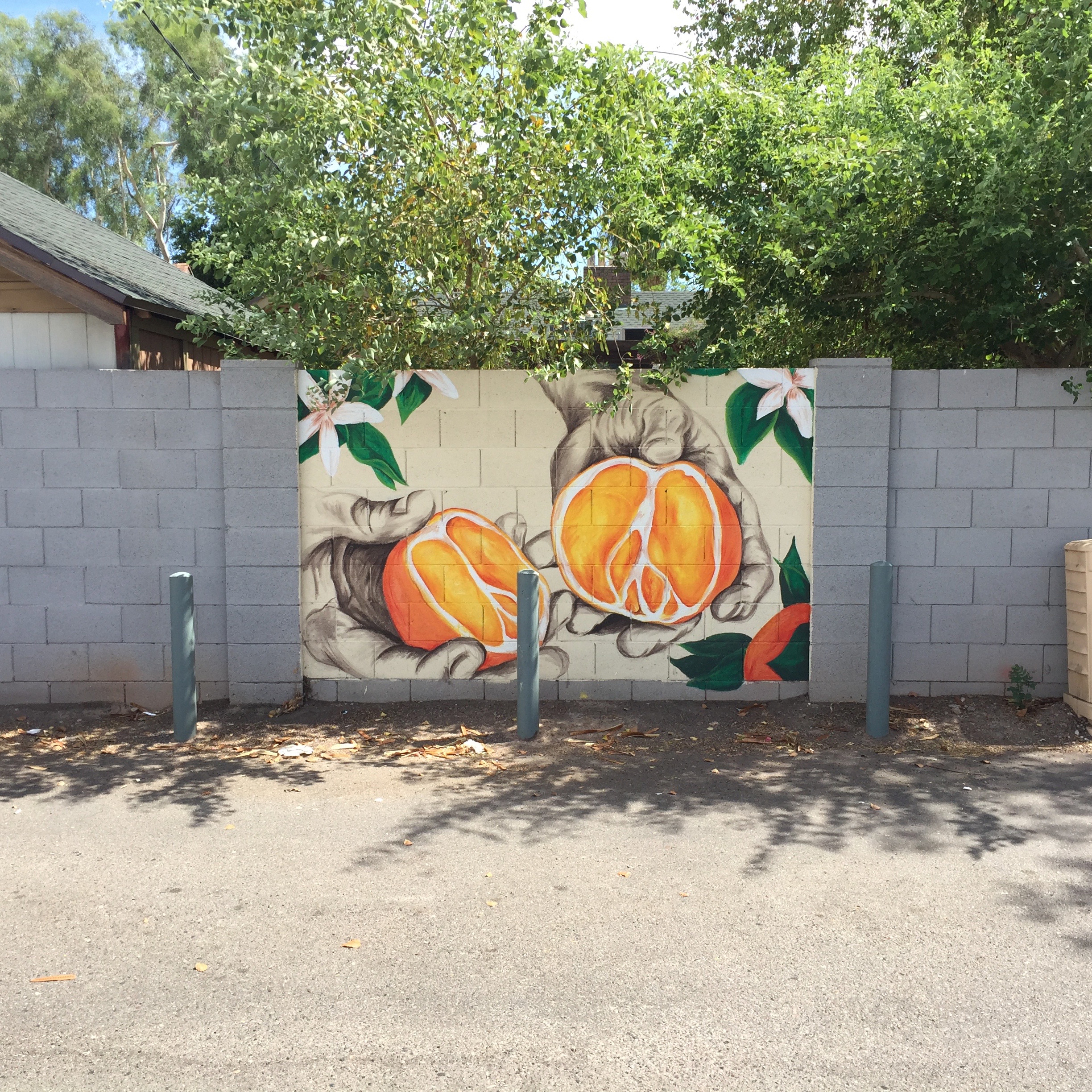 And the sliced orange also in the Five Guys parking lot. If I remember right, Sophia&rsquo;s former classmate&rsquo;s father painted this.