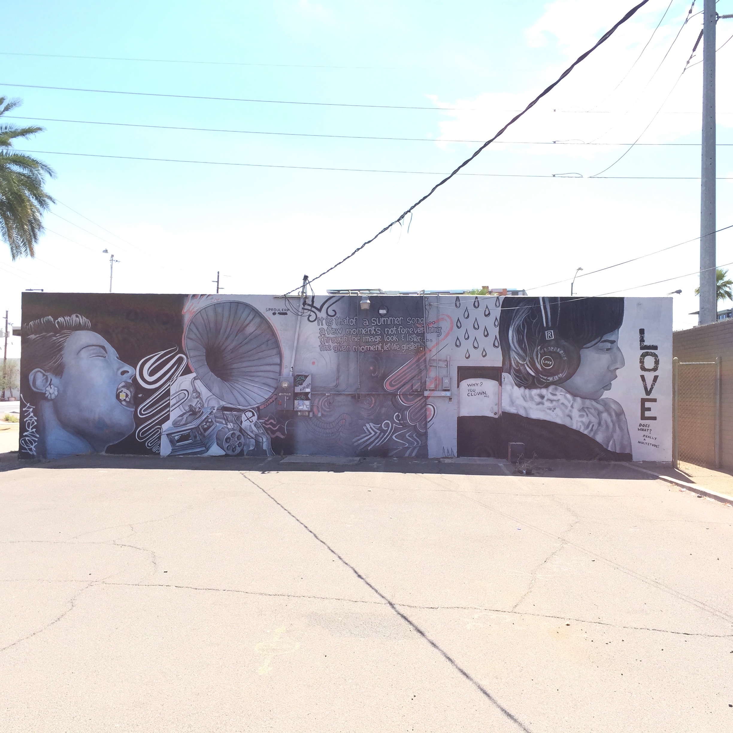 A record store on Roosevelt with some impressivly-skillful portraits.