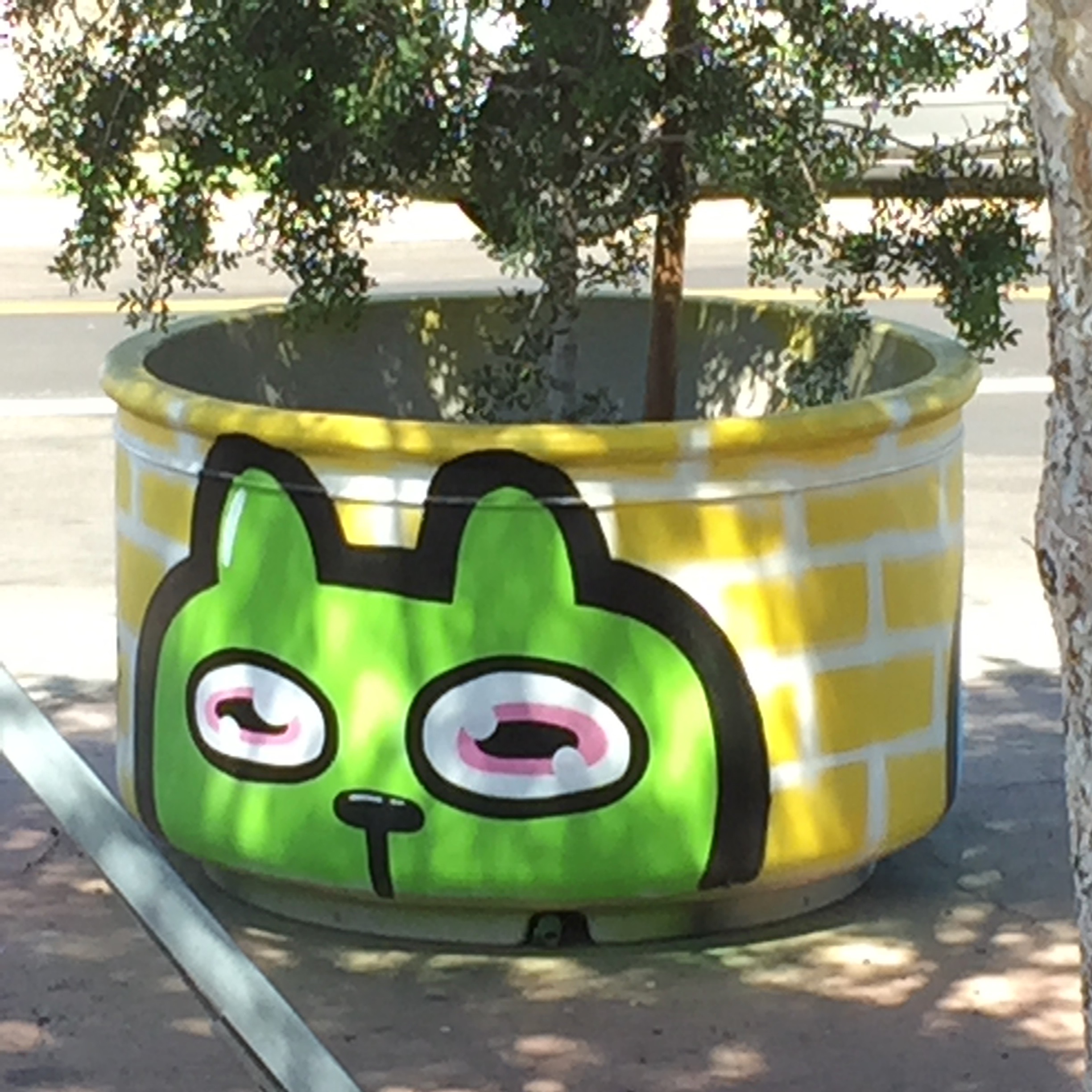 There are cute planters all over the arts district and also on Grand just north of Van Buren where all the studios are.