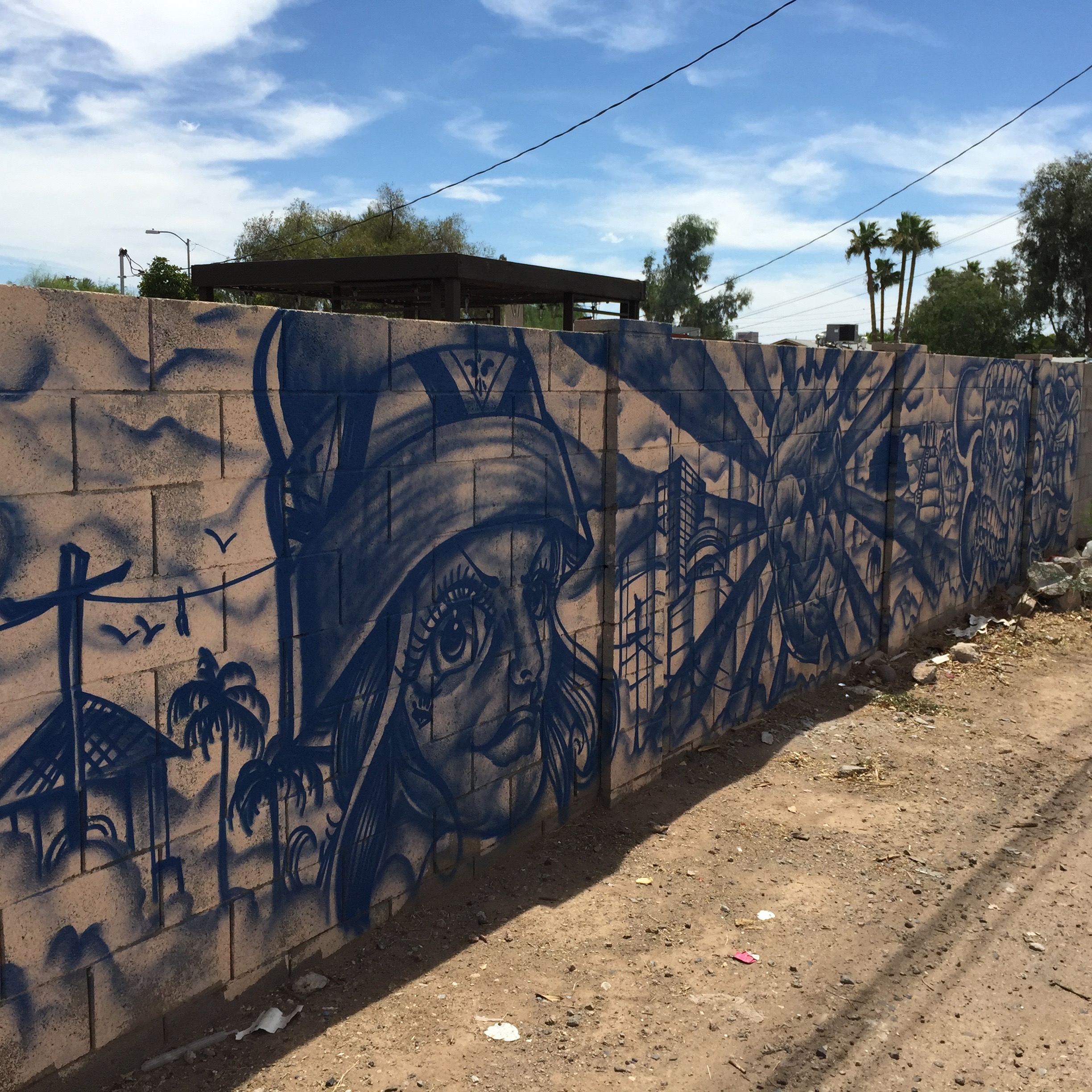 The trash alleys in the neighborhoods around Barrio Cafe are chock full of distinctive murals. This one is one of a kind. Nobody would ever see these without hunting for them.