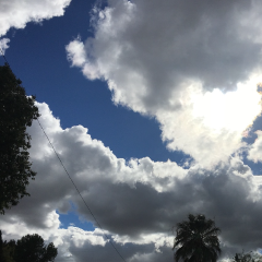 Thumbnail of post image