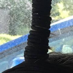 Thumbnail of post image