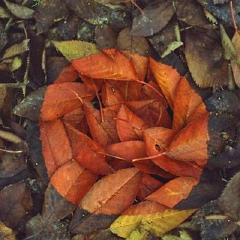 Thumbnail of post image