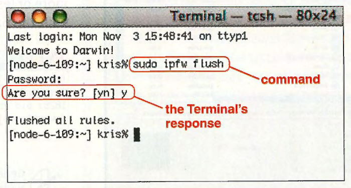 The same terminal window after you press Return. It asks "Are you sure? [yn]".