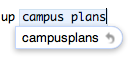 A screenshot of the auto-correct popup under entered text on Mac OS X.