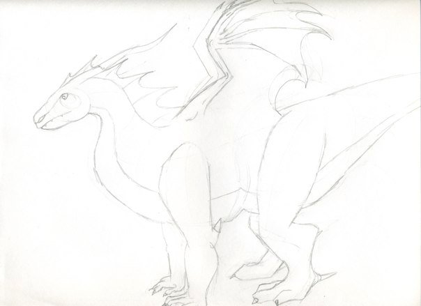 A pencil sketch of a dragon.