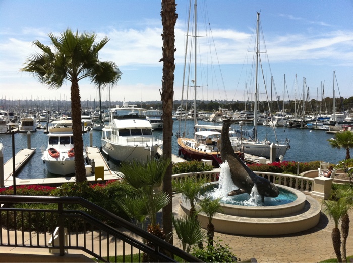 A view of a harbor filled with small boats. Palm trees are seen in the foreground. The sky and water and clear blue.