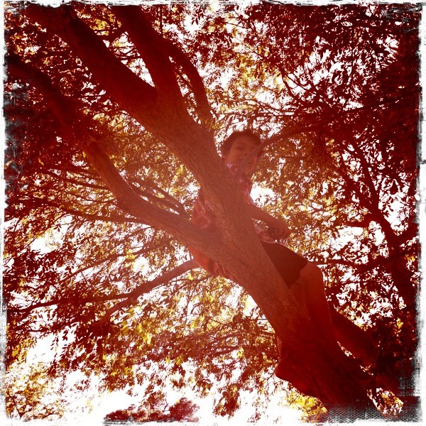 A photograph of young girl sitting in a tree branch. The view is from below and the sunlight is streaming through the branches around here. A sepia-type photo-effect has been applied, along with a jagged edge effect on the border.