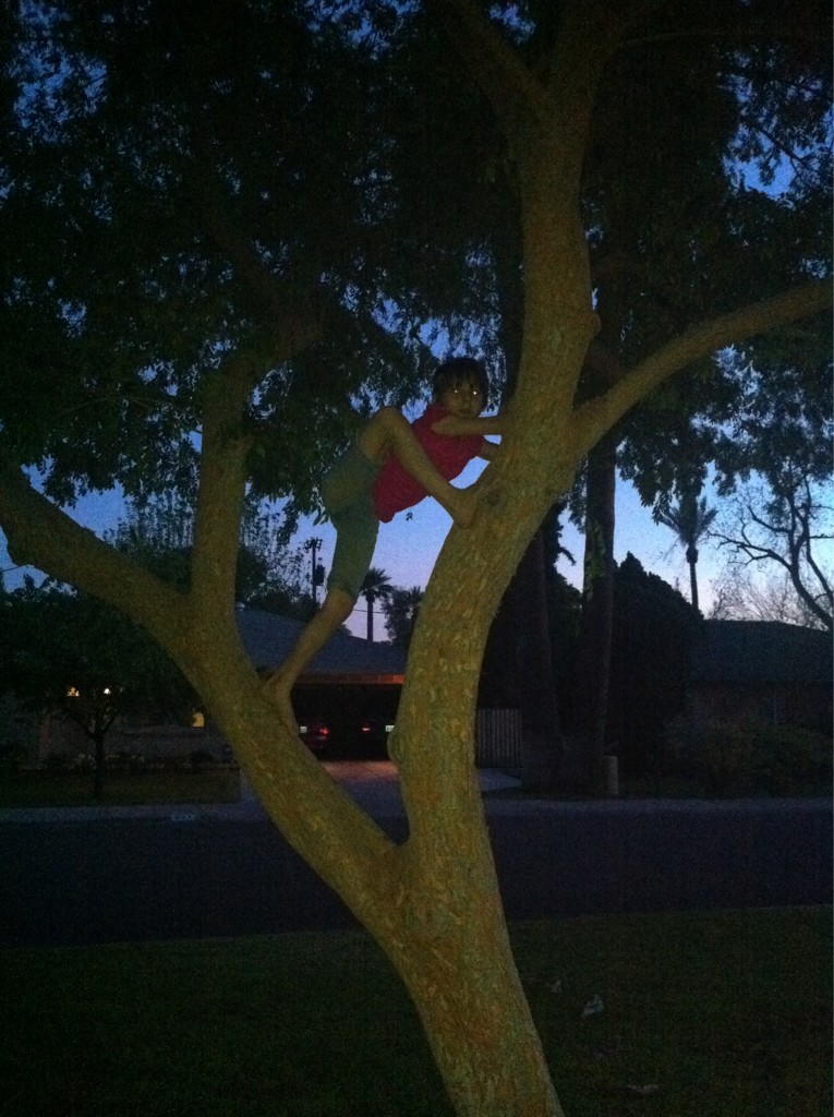 A young girl climbes a tree at night. The flash has caused her eyes to glow. Her legs and arms are askew in an unnatural way.