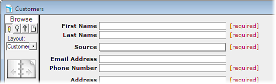 Screenshot of part of a database window showing fields for First Name, Last Name, etc… Each field as the text "[required]" beside it in red.