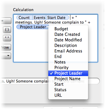 Screenshot of the "Calculation" window. It shows a forumal that concatenates a count of meetings with the text "meetings. Ugh, someone complain to and then the Project Leader field. The field portions of the calculation show as blue rounded pills so they're easy to spot.