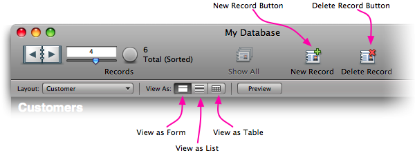 Screenshot of the standard toolbar in FileMaker Pro 10. It is similar to toolbars in other Mac OS X applications. It has an icon that resembles a book for flipping through records. It also has several buttons like "New Record" and "Delete Record" and controls to switch layouts and views.