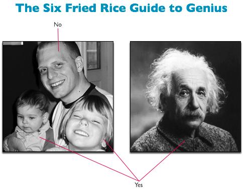 A diagram labeled "The Six Fried Rice Guide to Genius". It has two photos, one of a man and two children (the man is me, the children are mine) and the other of Albert Einstein. Callouts label me as not a genius, and Einstein and my children as geniuses.