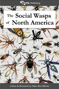 The Social Wasps of North America